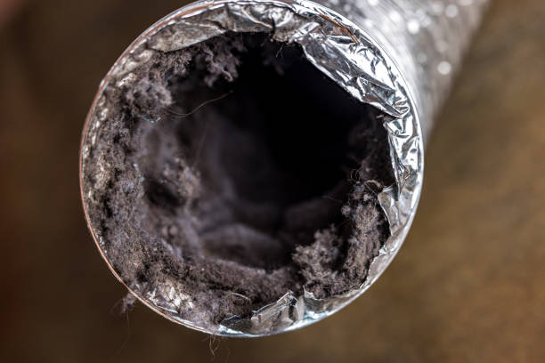 Best Affordable HVAC Duct Cleaning  in Trenton, MO