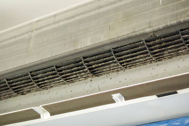 Best Best Air Duct Cleaning Company  in Trenton, MO